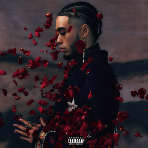 免费观看大肚子黄片
